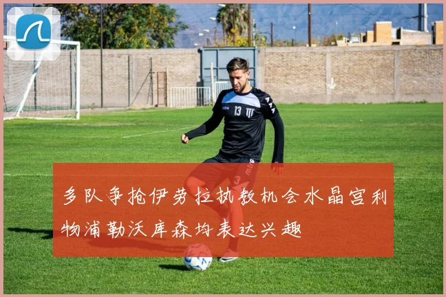 多队争抢伊劳拉执教机会水晶宫利物浦勒沃库森均表达兴趣
